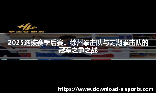 2025选拔赛季后赛：徐州拳击队与芜湖拳击队的冠军之争之战